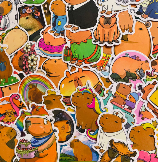Capybara Magnet Assortment